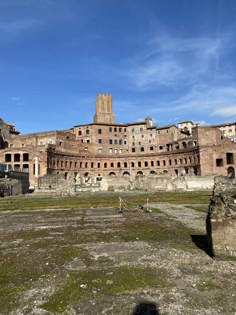 IMG_9910